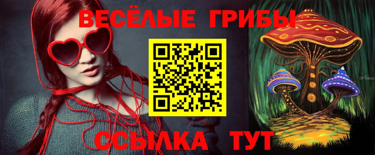 Казань  Псилоцибиновые грибы мухоморы  Вход с VPN 
